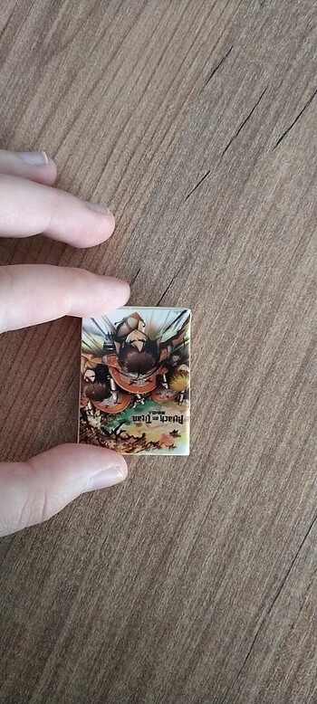  Mini kitap 