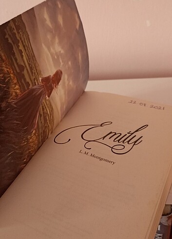 Beden Renk Emily