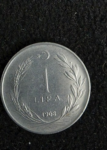 Gri Metalik Para Koleksiyonu - Görsel 7