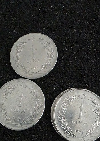 Gri Metalik Para Koleksiyonu - Görsel 6