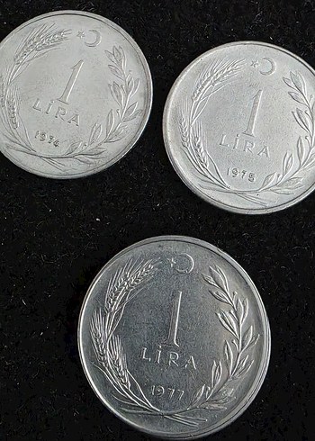 Gri Metalik Para Koleksiyonu - Görsel 5