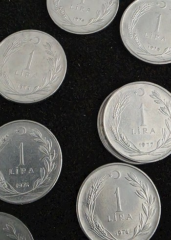 Gri Metalik Para Koleksiyonu - Görsel 3