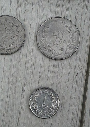 Gri Metalik Para Koleksiyonu - Görsel 11