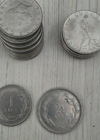 Gri Metalik Para Koleksiyonu - Görsel 8