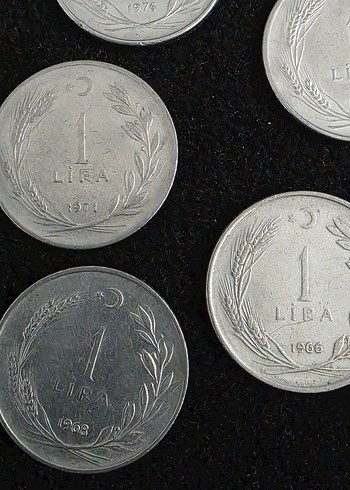 Gri Metalik Para Koleksiyonu - Görsel 2