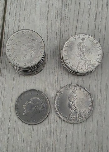 Gri Metalik Para Koleksiyonu - Görsel 13