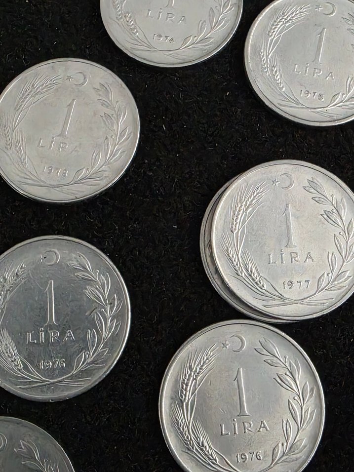 Gri Metalik Para Koleksiyonu - Görsel 3