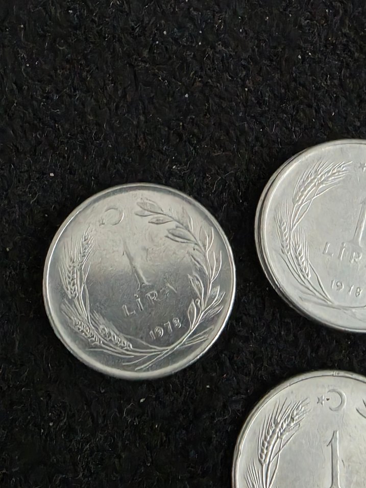 Gri Metalik Para Koleksiyonu - Görsel 4