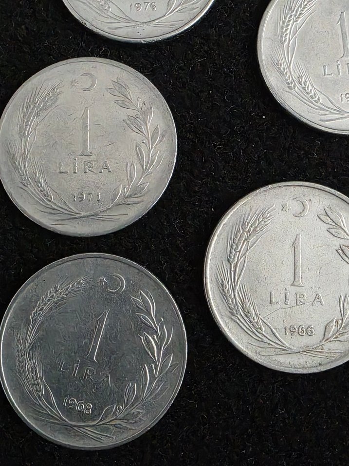 Gri Metalik Para Koleksiyonu - Görsel 2