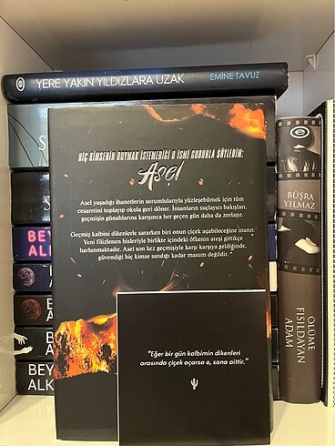  Asel / Sena Nur Işık