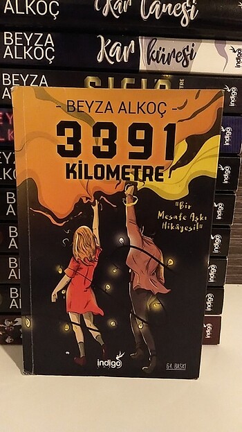 3391 Kilometre
