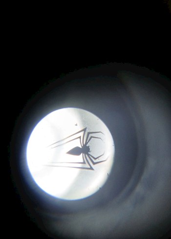 Örümcek Adam Dijital Kol Saati - Görsel 7