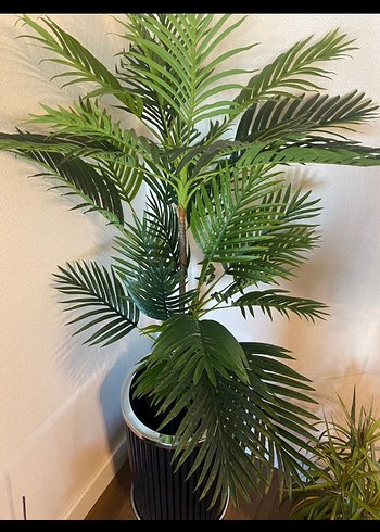 Koyu Yeşil Dekoratif Yapay Bitki - Görsel 2