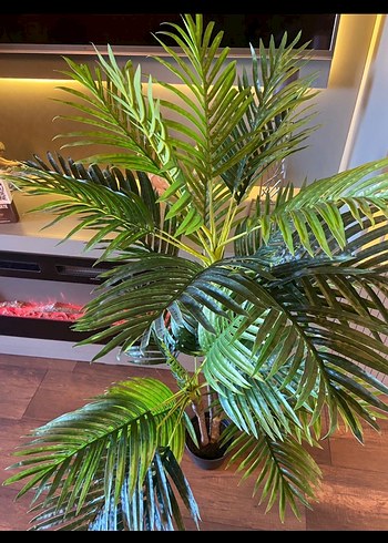 Koyu Yeşil Dekoratif Yapay Bitki - Görsel 7