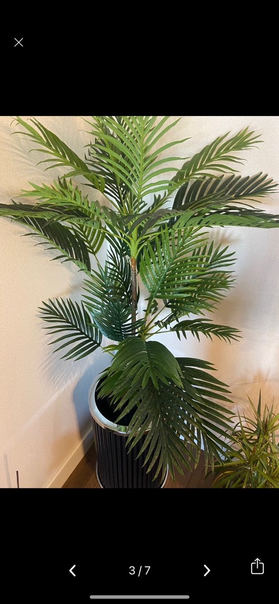 Koyu Yeşil Dekoratif Yapay Bitki - Görsel 2