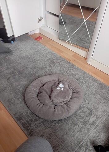 Kedi yatagi