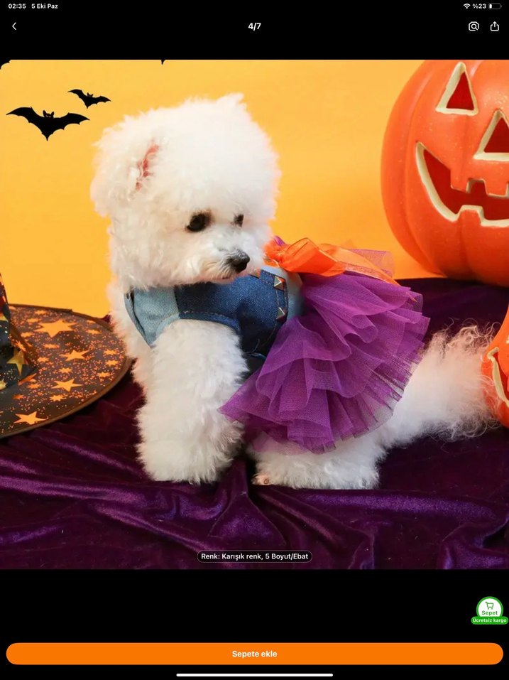 Cadılar bayramı köpek kıyafeti elbisesi - Görsel 2