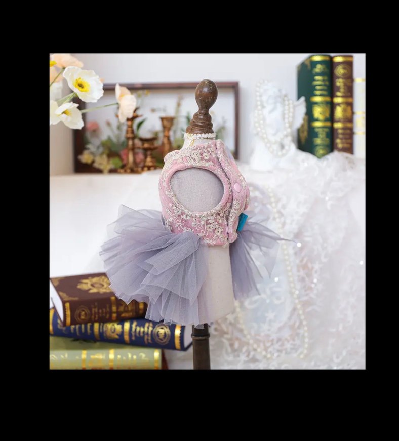 Prenses köpek elbisesi Tütü Köpek Kıyafeti - Görsel 2