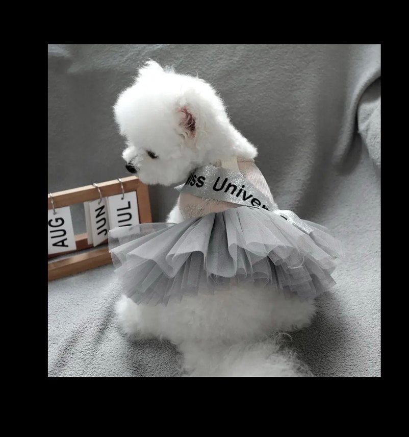 Prenses köpek elbisesi Tütü Köpek Kıyafeti - Görsel 3