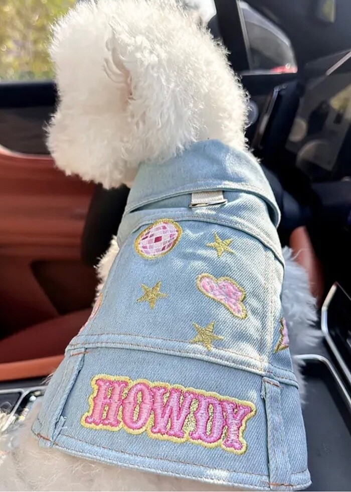 Köpek kıyafeti kot ceket - Görsel 2