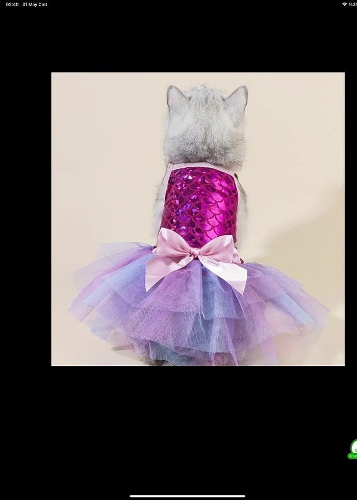 Kedi köpek deniz kızı kıyafeti elbisesi - Görsel 3