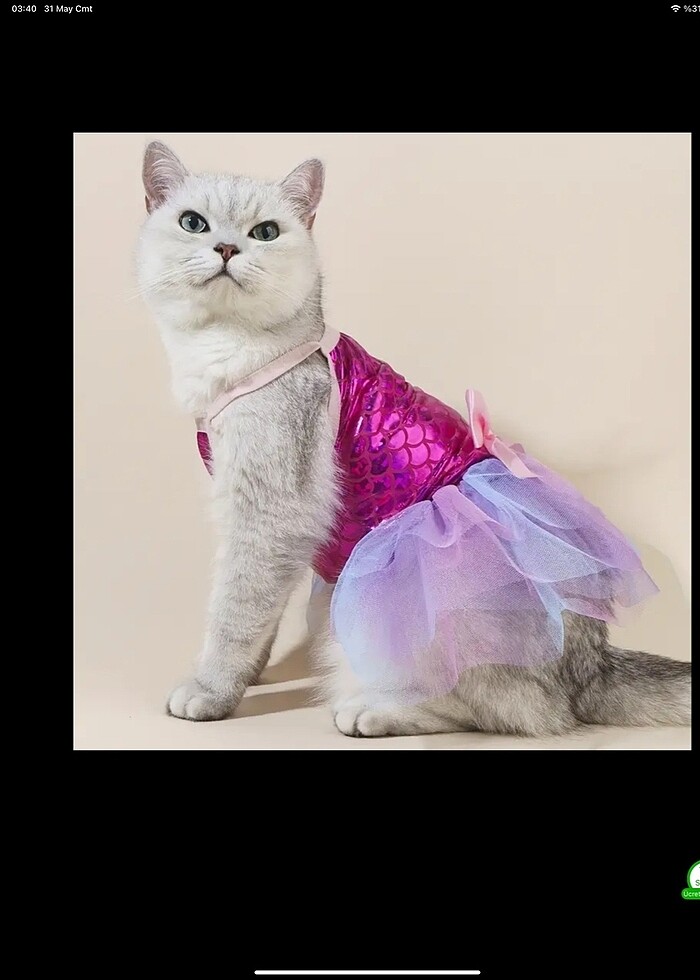 Kedi köpek deniz kızı kıyafeti elbisesi - Görsel 4