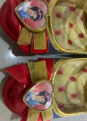 Walt Disney World 30