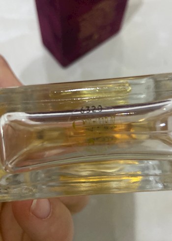 Dolce&Gabbana Pour Femme Kadın Parfümü 100 ml - Görsel 5