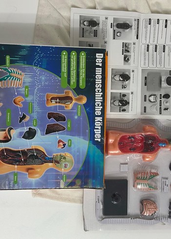 İnsan Vücudu Maket Eğitim Seti - Görsel 3