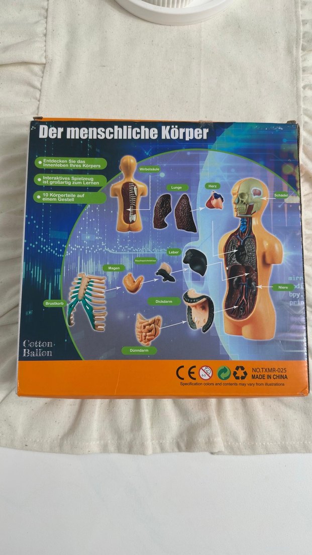 İnsan Vücudu Maket Eğitim Seti - Görsel 2