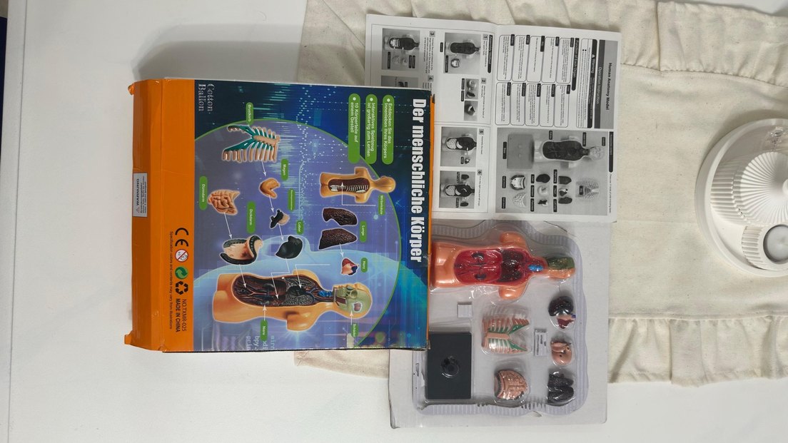 İnsan Vücudu Maket Eğitim Seti - Görsel 3