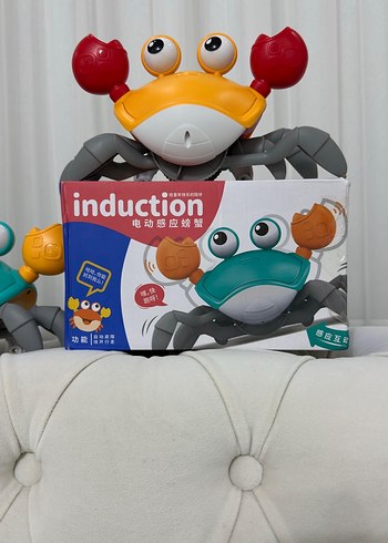 Renkli İndüksiyonlu Eğitim Oyuncağı Emeklemeye Yardımcı Pilli - Görsel 5