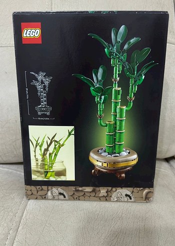 LEGO Botanik Lucky Bamboo Seti - Görsel 4