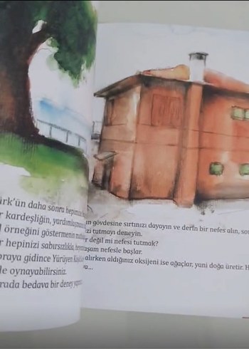 Çınar Ağacı ve Yürüyen Köşk - Görsel 3