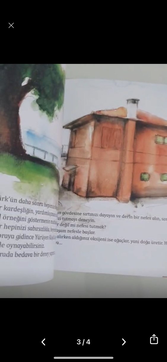 Çınar Ağacı ve Yürüyen Köşk - Görsel 3