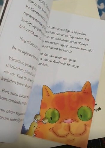 Gezgin Bezgin Çocuk Kitabı - Görsel 2