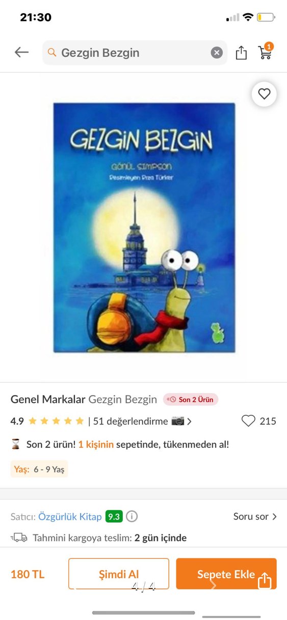 Gezgin Bezgin Çocuk Kitabı - Görsel 4