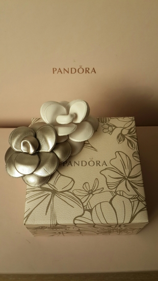 Pandora özel seri bileklik kutusu 