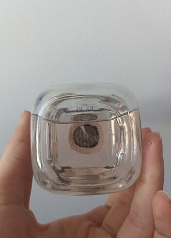 Beden Zara wonder rose