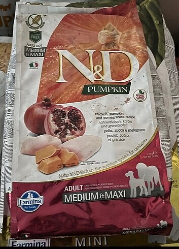 2,tkg köpek maması