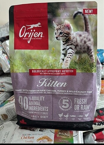 1,8kg Orijen yavru kedi maması