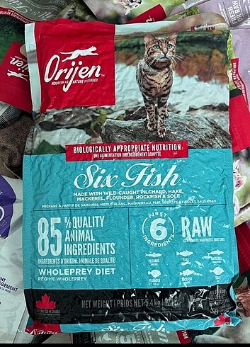 5,4kg Orijen kedi mamasi 