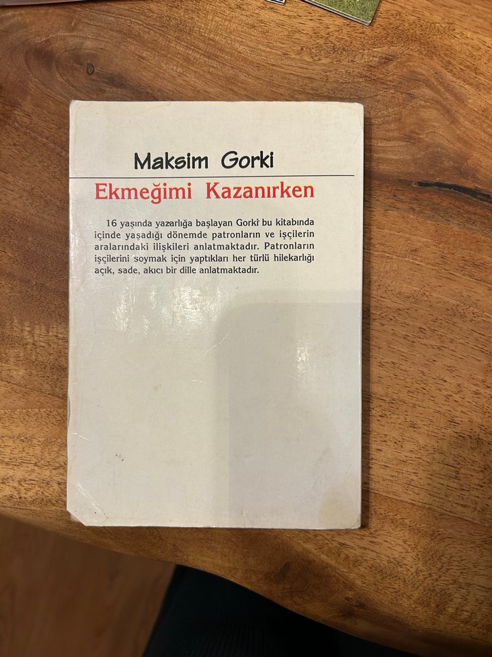 Ekmeğimi Kazanırken - Gorki - Görsel 2