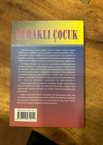 Meraklı Çocuk - Jean Grasso Fitzpatrick - Görsel 2
