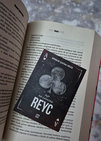Beden REYC - Asi Çakıltası Romanı