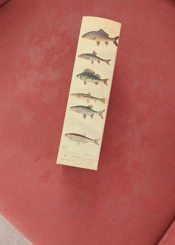 dekoratif kitap kutu - Görsel 2