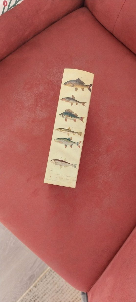 dekoratif kitap kutu - Görsel 2