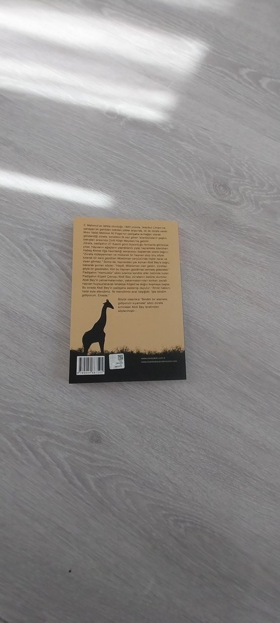 İstanbul'da Bir Zürafa - Sunay Akın kitap - Görsel 2