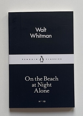 On the Beach at Night Alone Walt Whitman