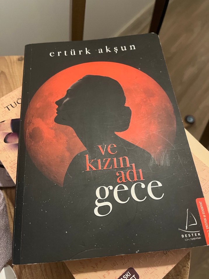 Ve Kızın Adı Gece - Ertürk Akşun - Görsel 2